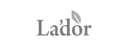 Lador