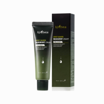 Isntree Spot Saver Mugwort Cream